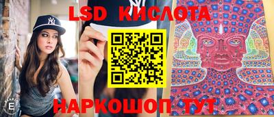ПСИЛОЦИБИНОВЫЕ ГРИБЫ Кингисепп