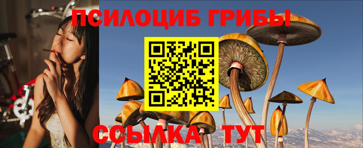 Псилоцибиновые грибы ЛСД Лениногорск