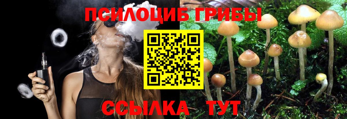 Лениногорск  Галлюциногенные грибы мицелий  Псилоцибиновые грибы Psilocybine cubensis  Вход с VPN 
